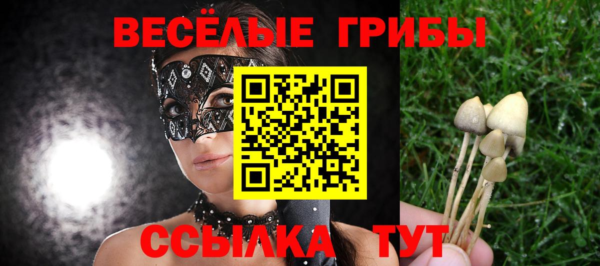 Псилоцибиновые грибы ЛСД Коряжма