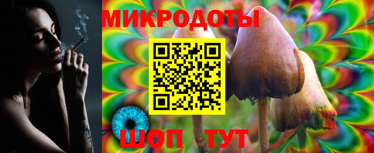 Коряжма  Псилоцибиновые грибы Magic Shrooms  Псилоцибиновые грибы Cubensis  Вход с VPN 